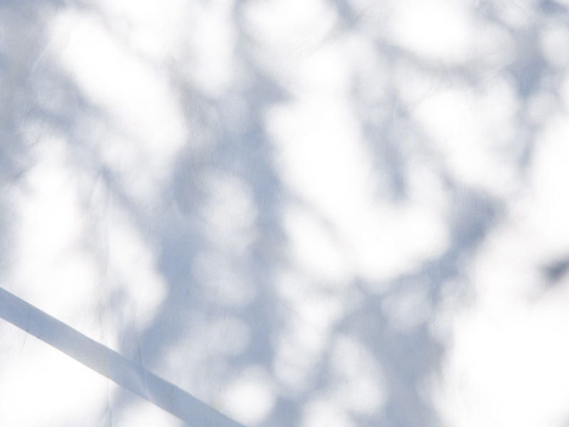 privacy Policyイメージ